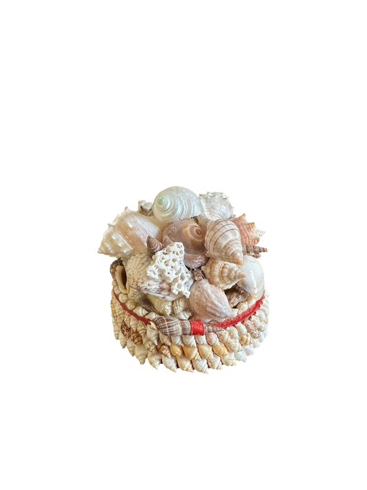 Jenn Leverett Art - Round Shell Encrusted Box II
