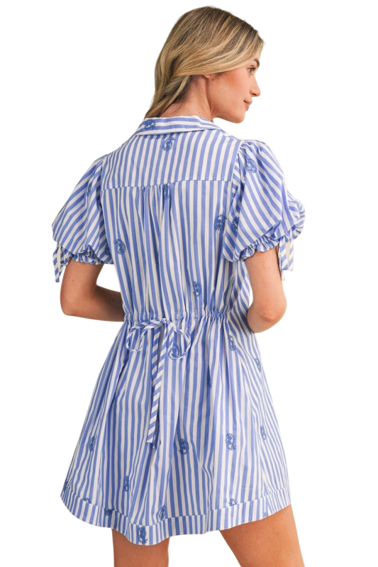 Striped Paisley Embroidery Mini Dress