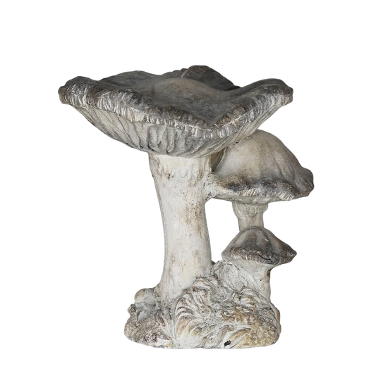 Concrete 3 Cap Mushroom Specimen