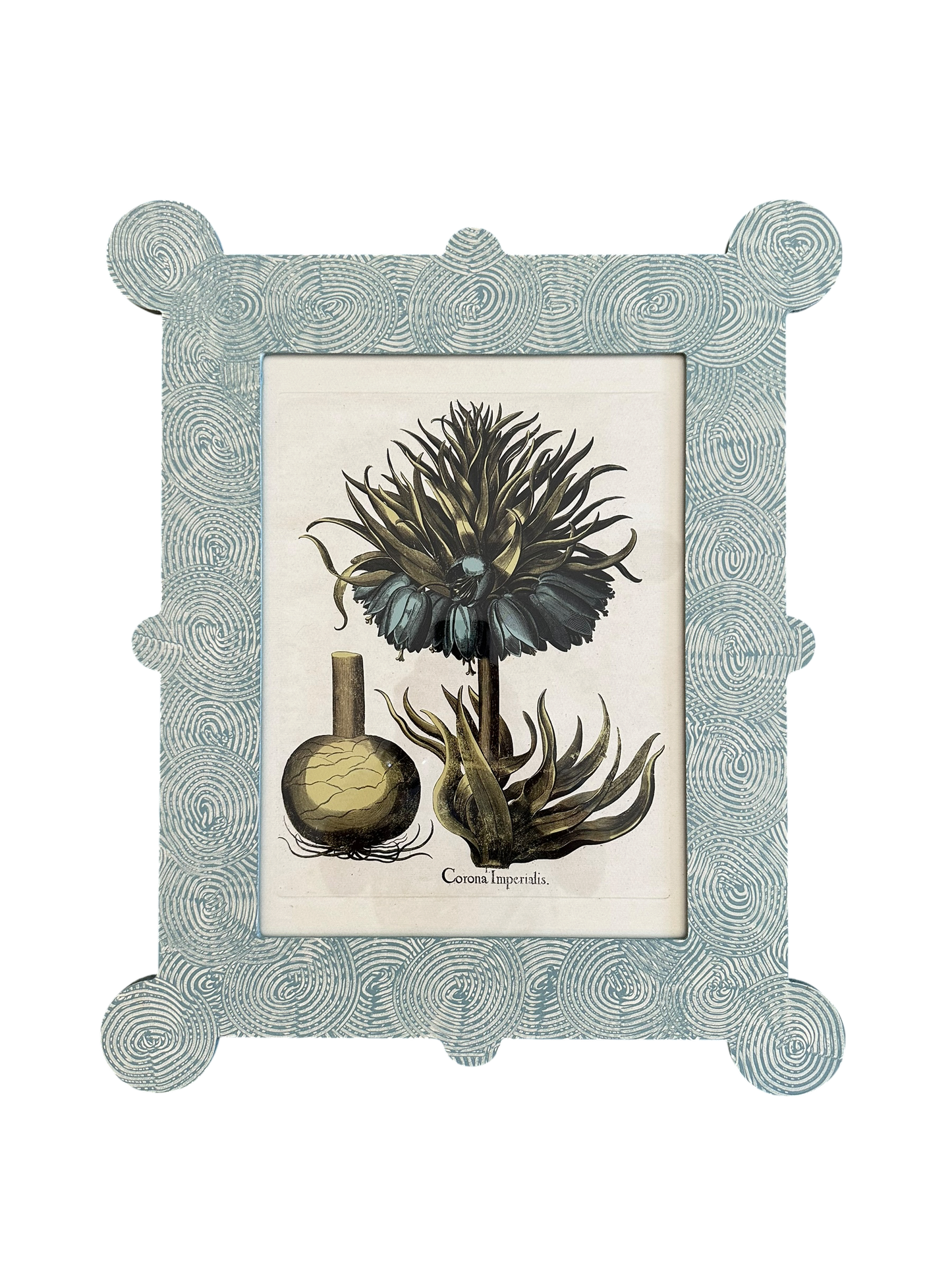 Blue Floral Botanical Print in Hand-Painted Frame