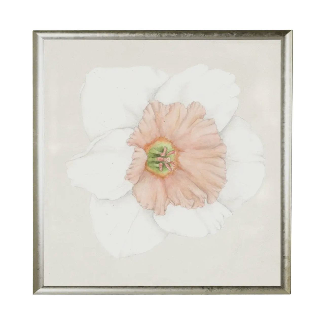 24” x 24” Watercolor Daffodil Prints