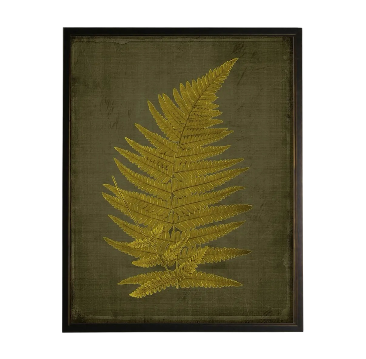 Golden Fern Prints