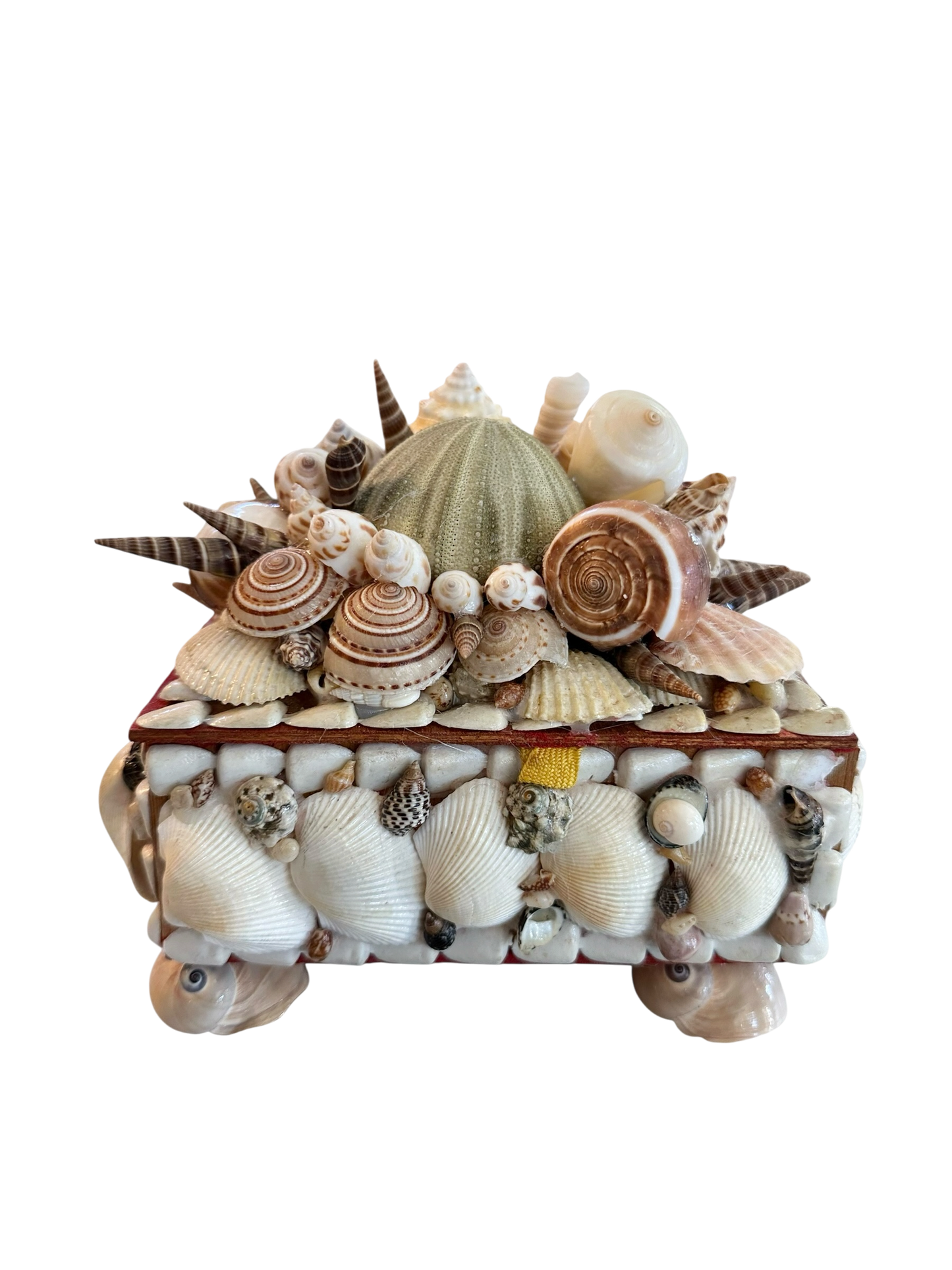 Jenn Leverett Art - Rectangular Shell Encrusted Box