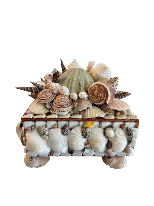 Jenn Leverett Art - Rectangular Shell Encrusted Box