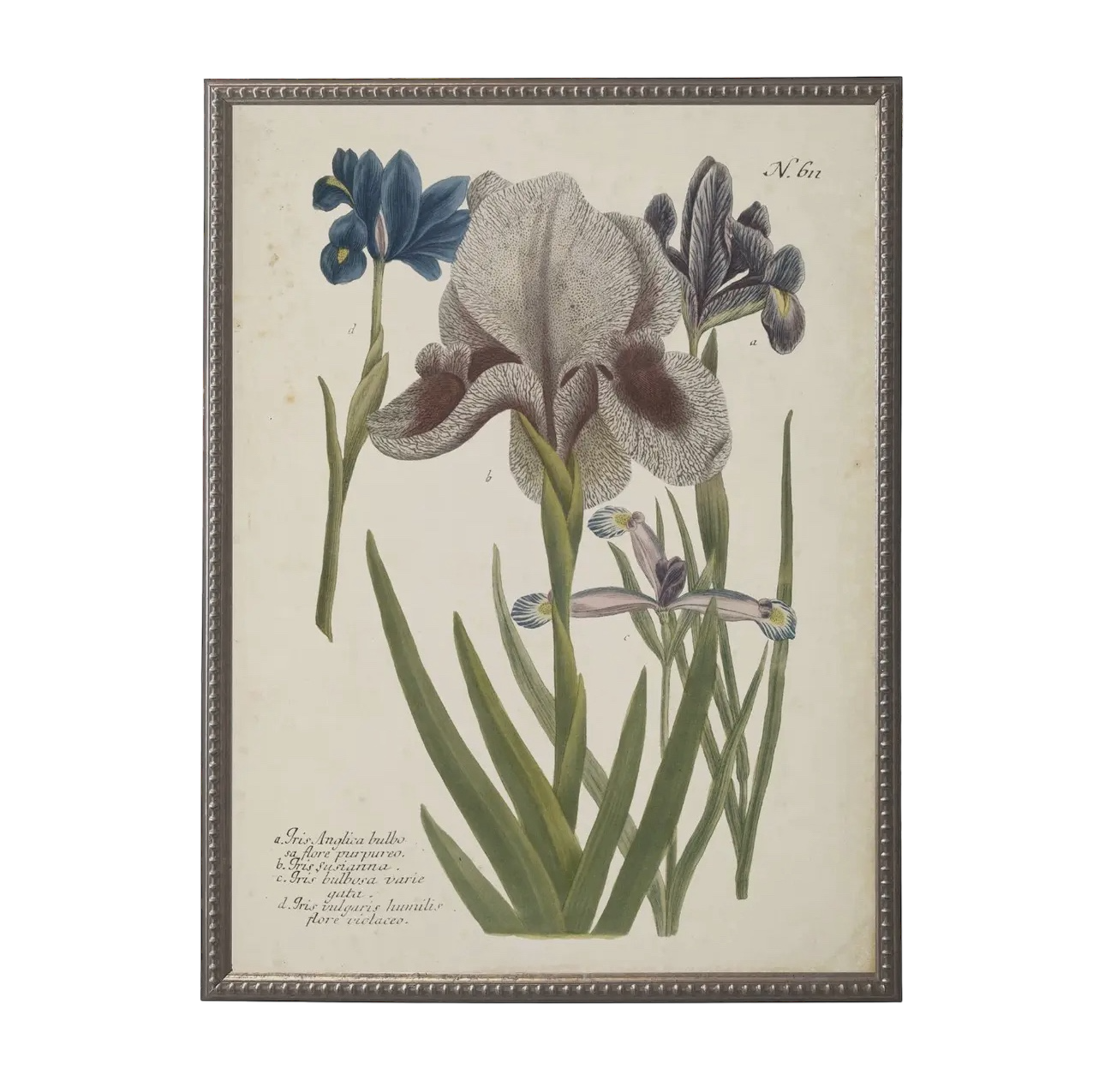 18” x 24” Vintage Flower Bookplate Print