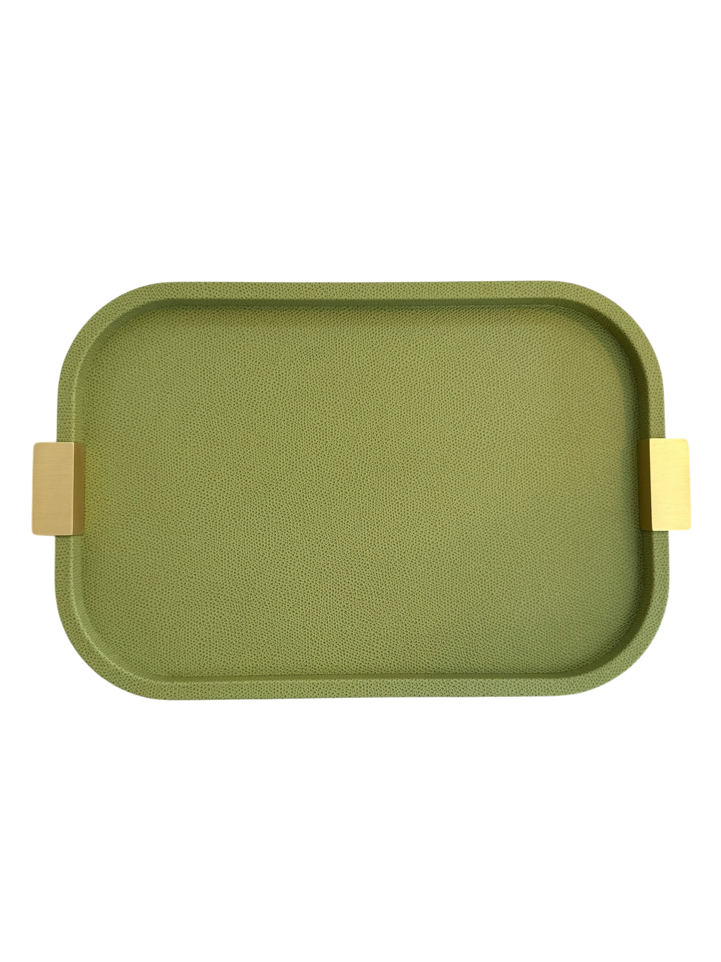 Small Puccini Rectangular Tray / Brass Handles
