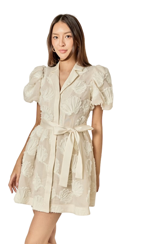 Shell Mini Shirt Dress