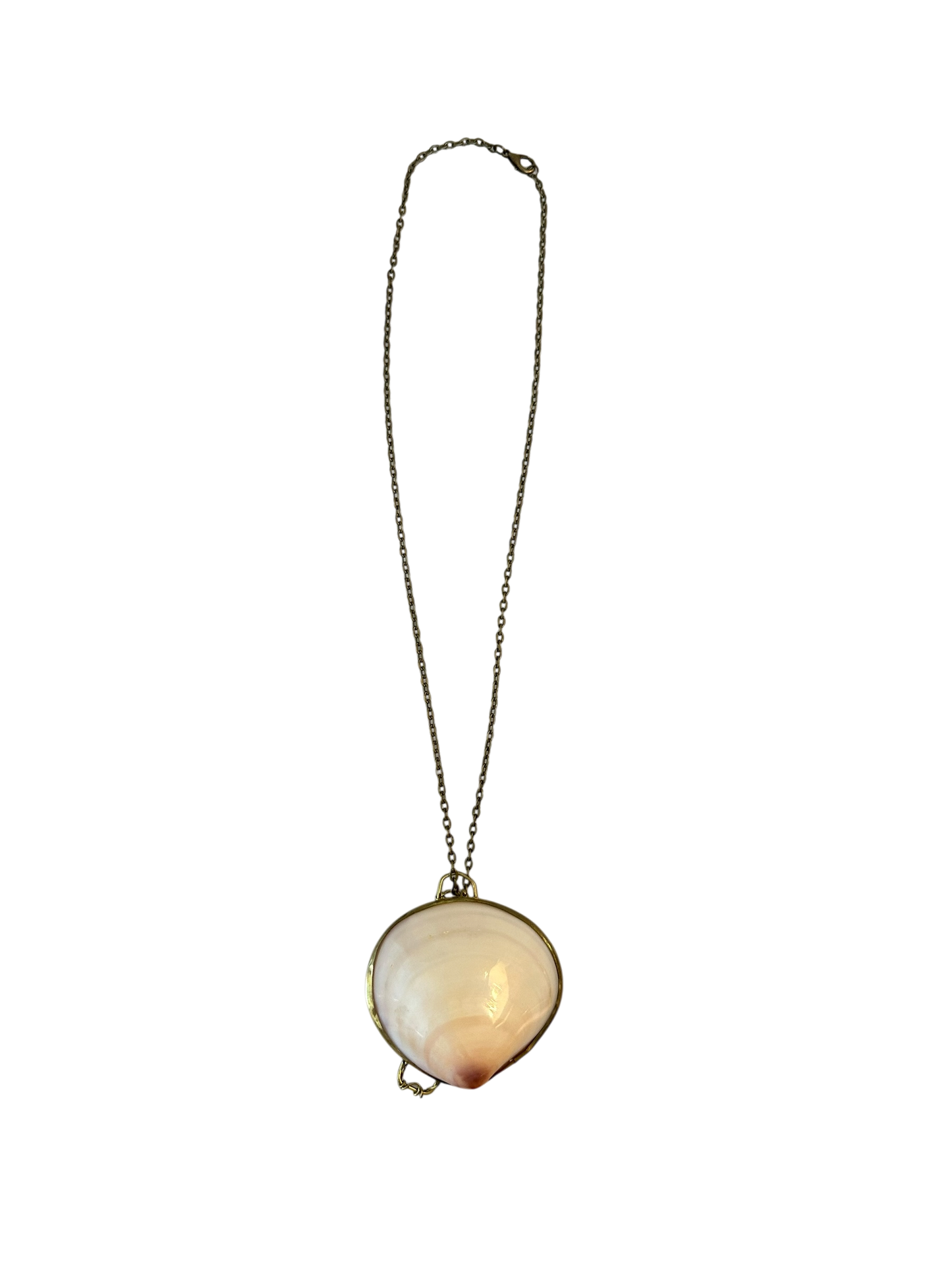 Antique Shell Pill Box Necklace