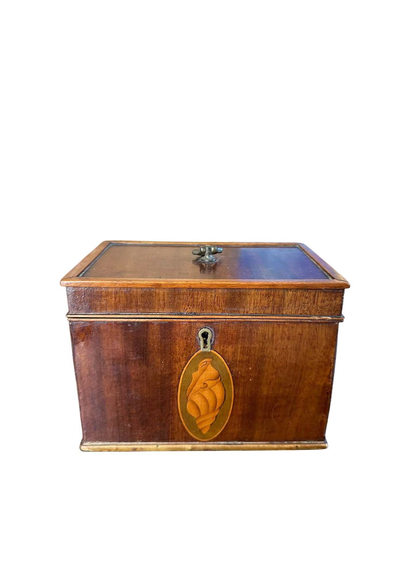 Neoclassical Tea Caddy w/ 3 Sided Conch Shell Inlay