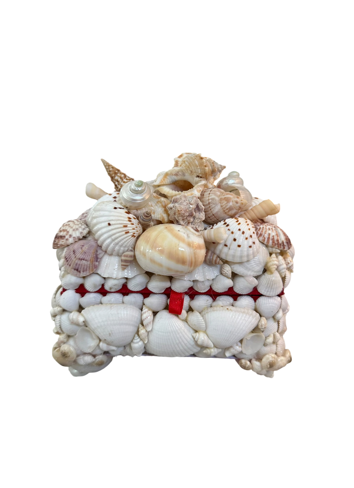 Jenn Leverett Art - Shell Encrusted Box VIII