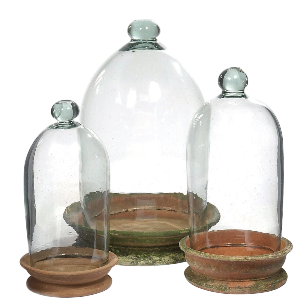 Terrariums