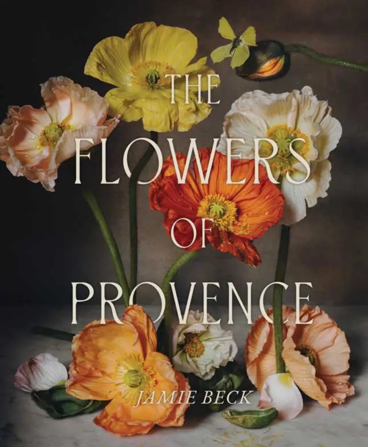 Flowers of Provence By Jamie Beck