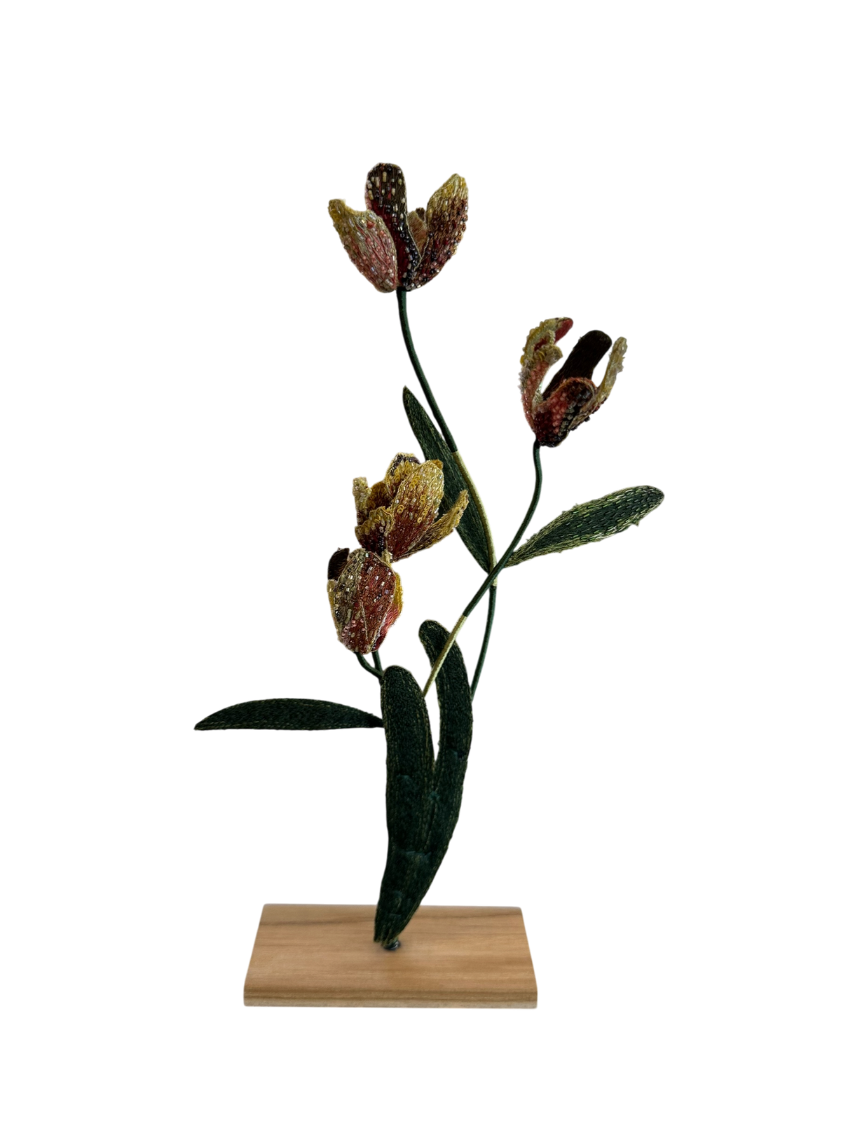 Rembrandt Tulips Embellished Object