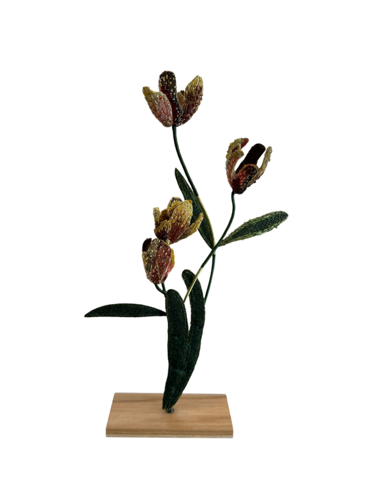 Rembrandt Tulips Embellished Object