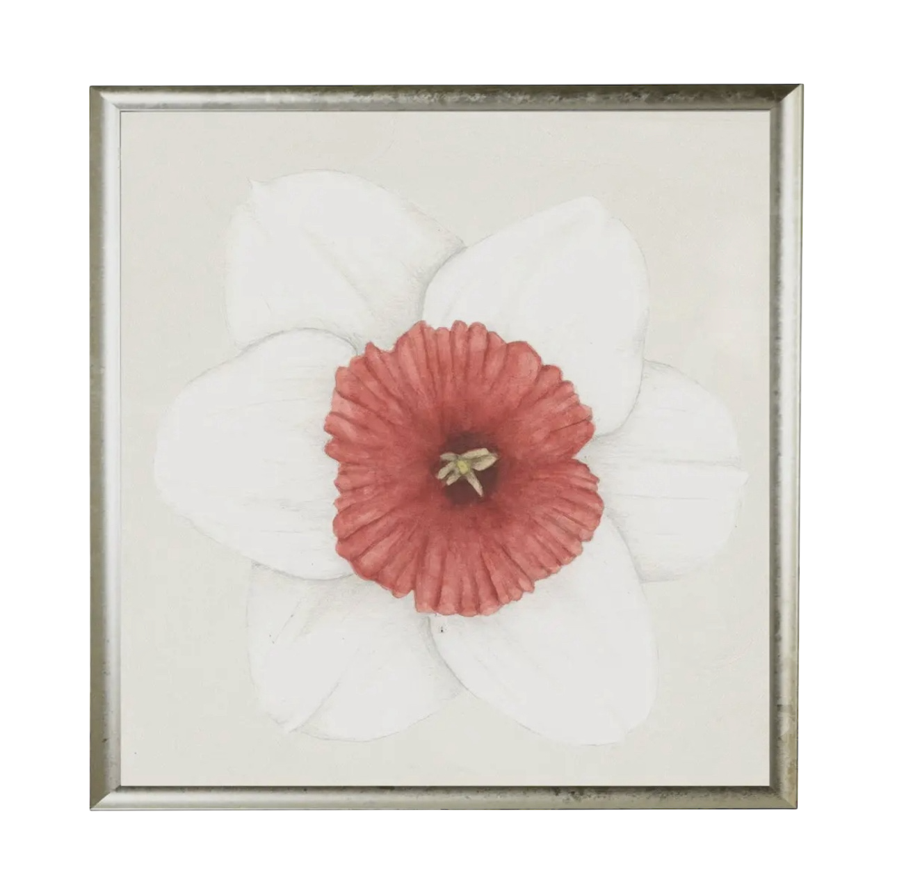 24” x 24” Watercolor Daffodil Prints