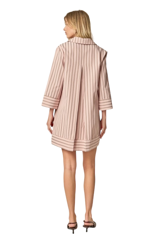 Stripe Collared Mini Dress - Pink/Brown
