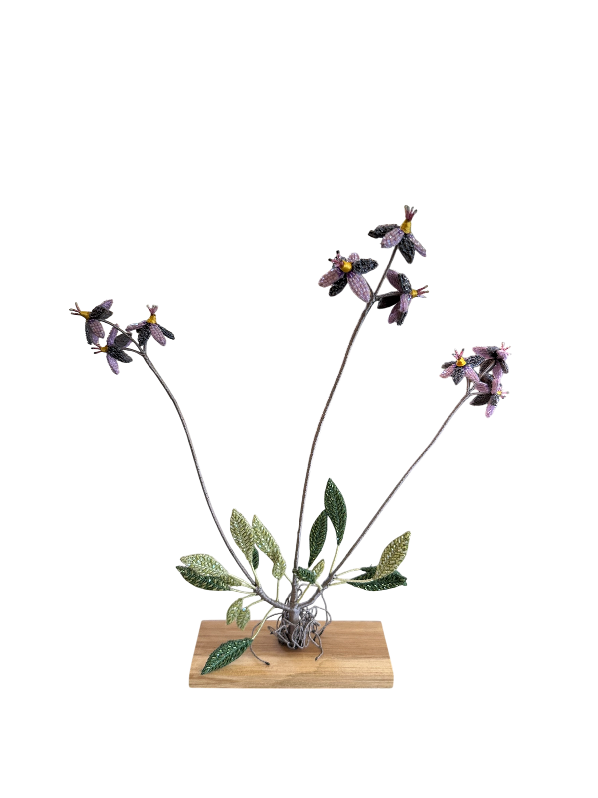 Shooting Star Flower Embellished Object