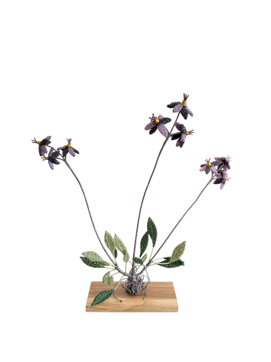 Shooting Star Flower Embellished Object