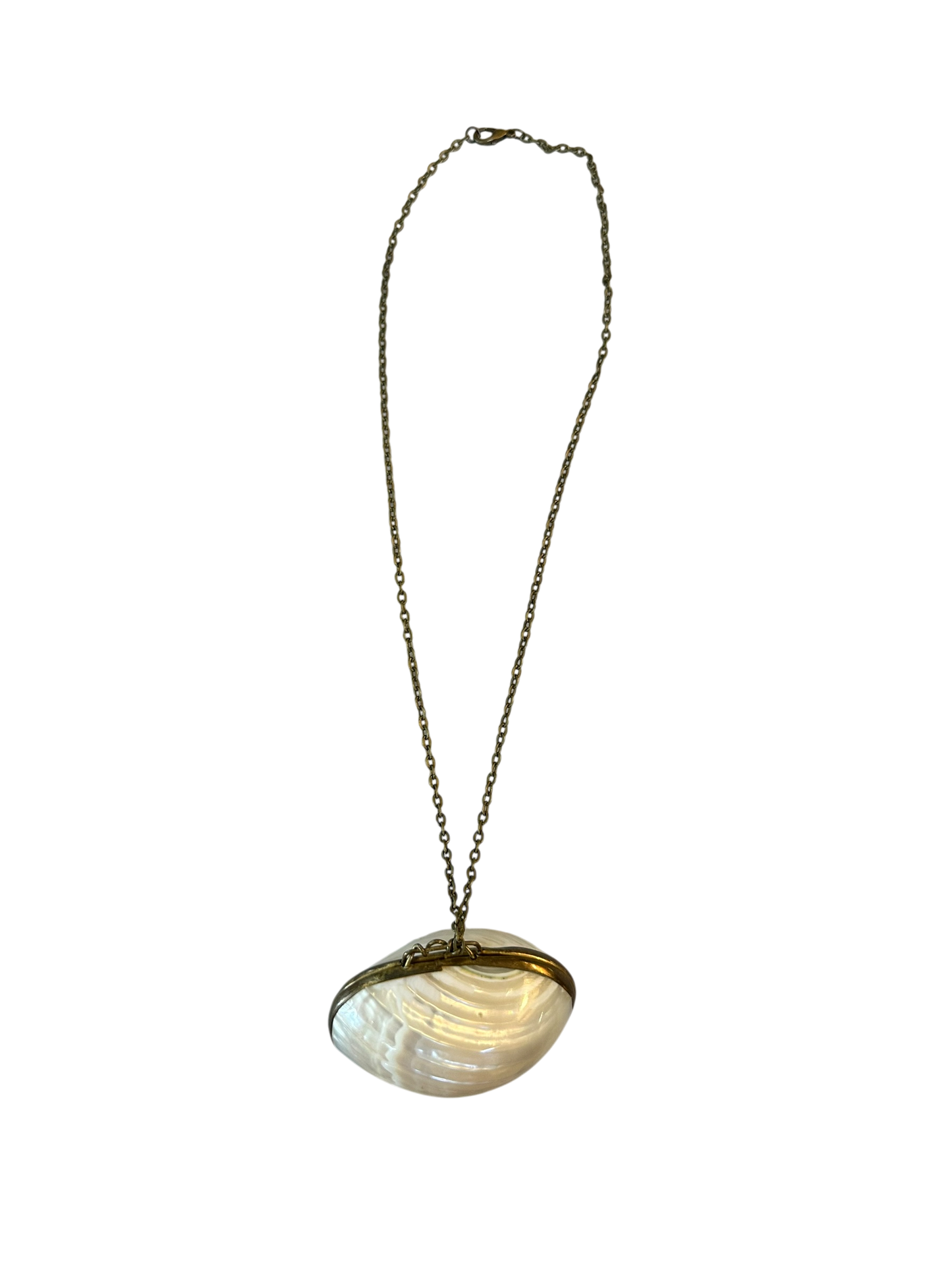 Antique Shell Pill Box Necklace