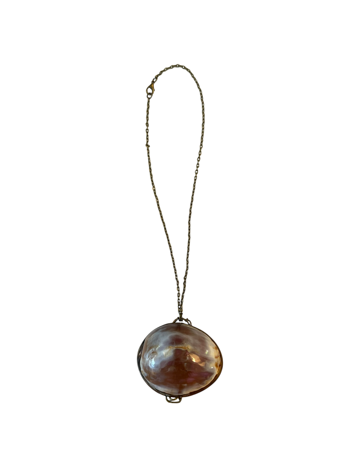 Antique Shell Pill Box Necklace