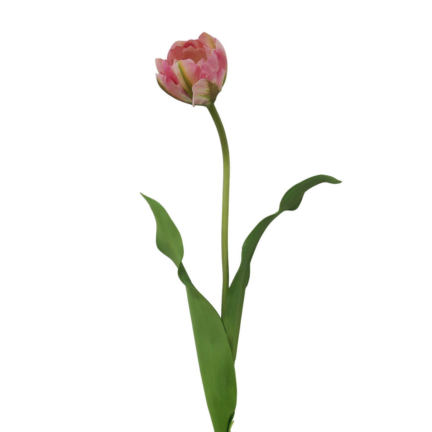 Double Layer Tulip 22” - Three Colors
