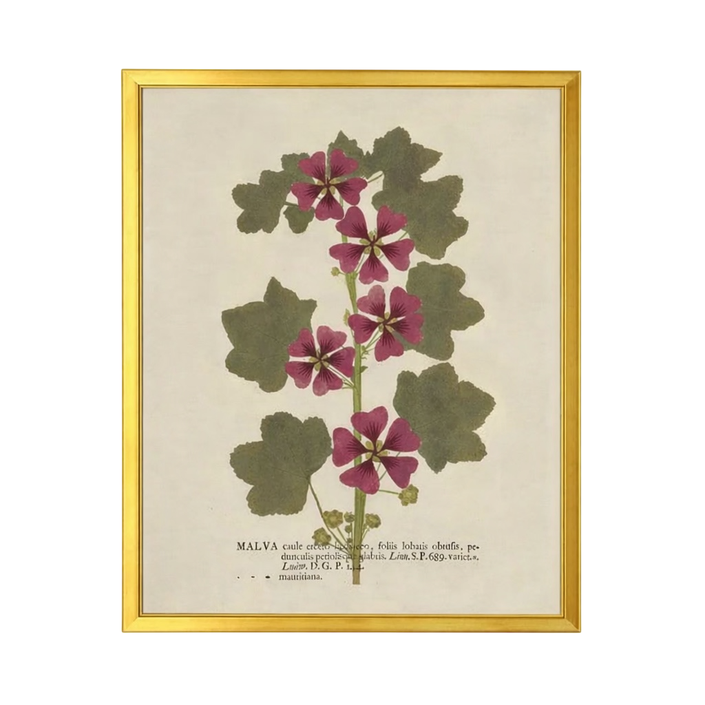 28” x 22” Vintage Dried Botanical Print