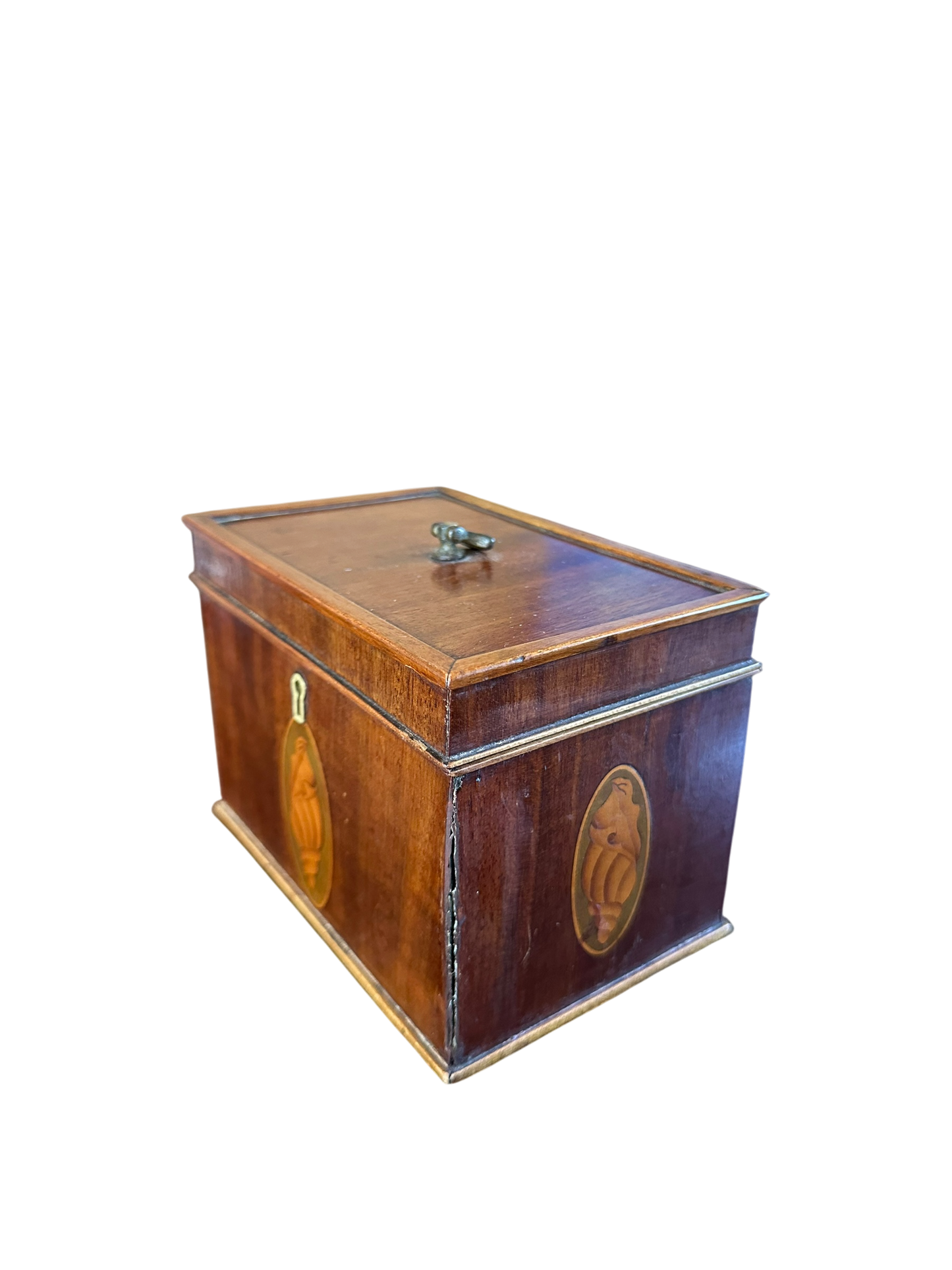 Neoclassical Tea Caddy w/ 3 Sided Conch Shell Inlay