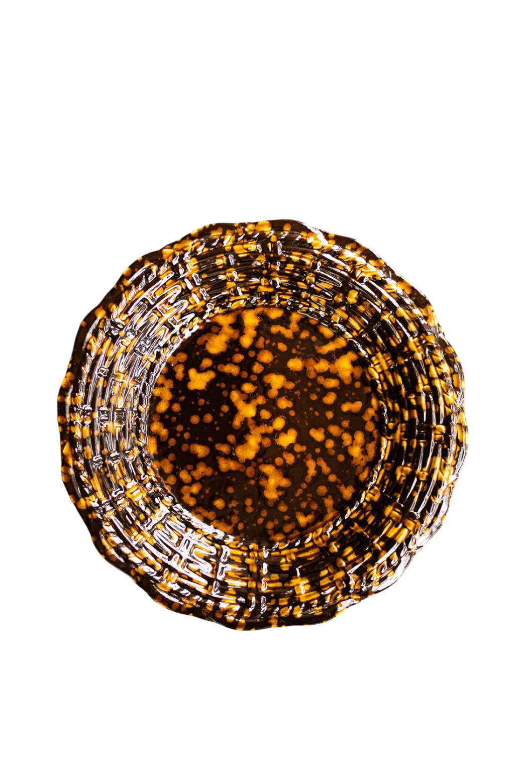 Tortoise Dinner Plate