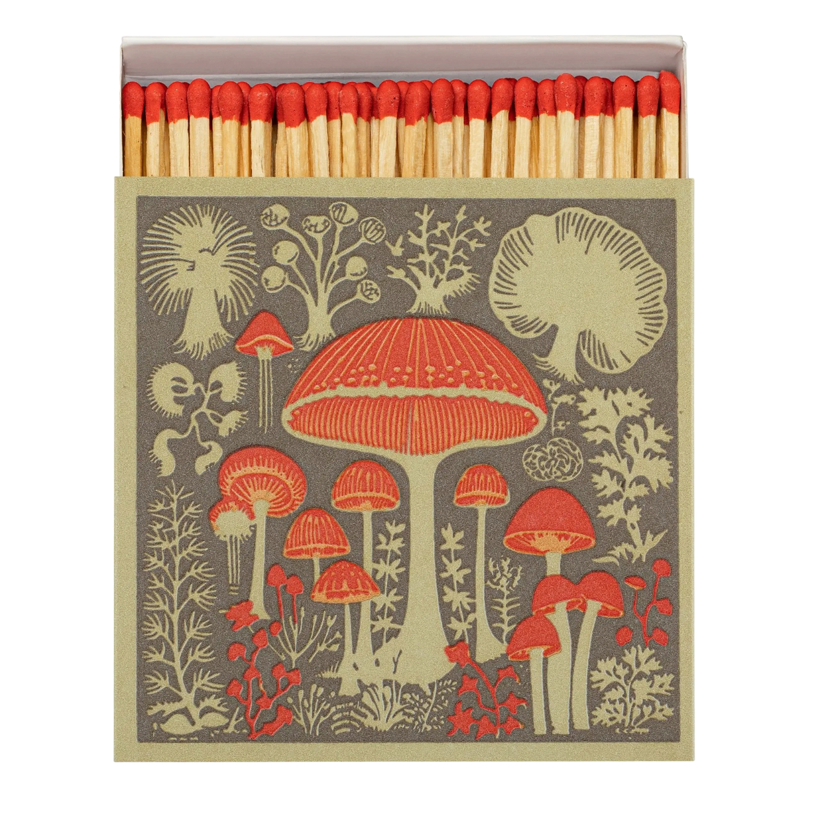 Square Safety Matches