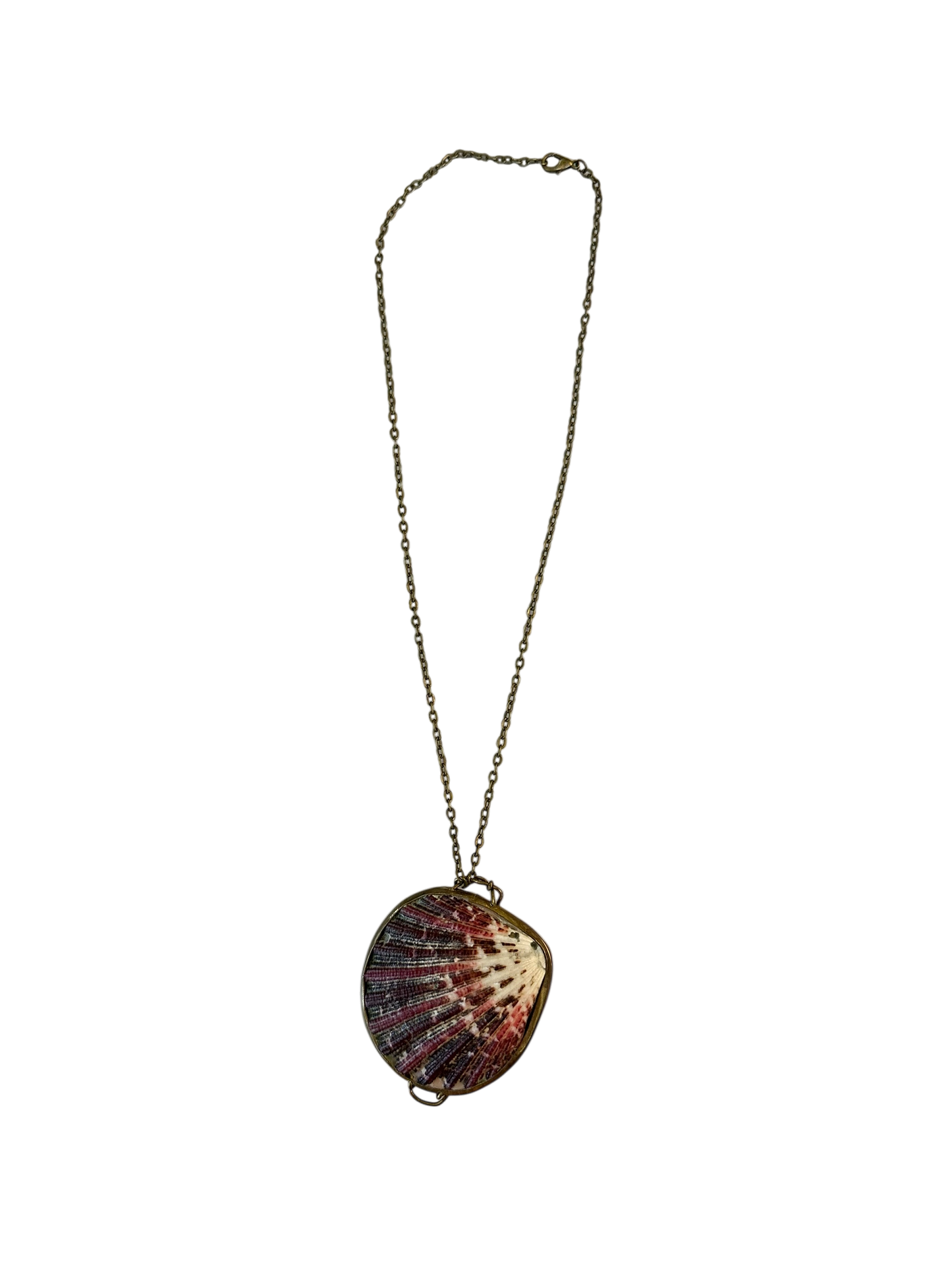 Antique Shell Pill Box Necklace