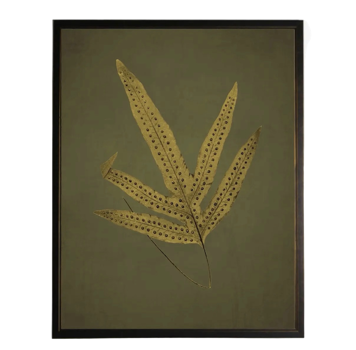 Golden Fern Prints