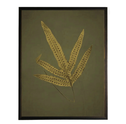 Golden Fern Prints