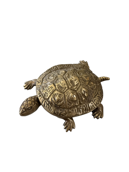 Brass Turtle Trinket Box