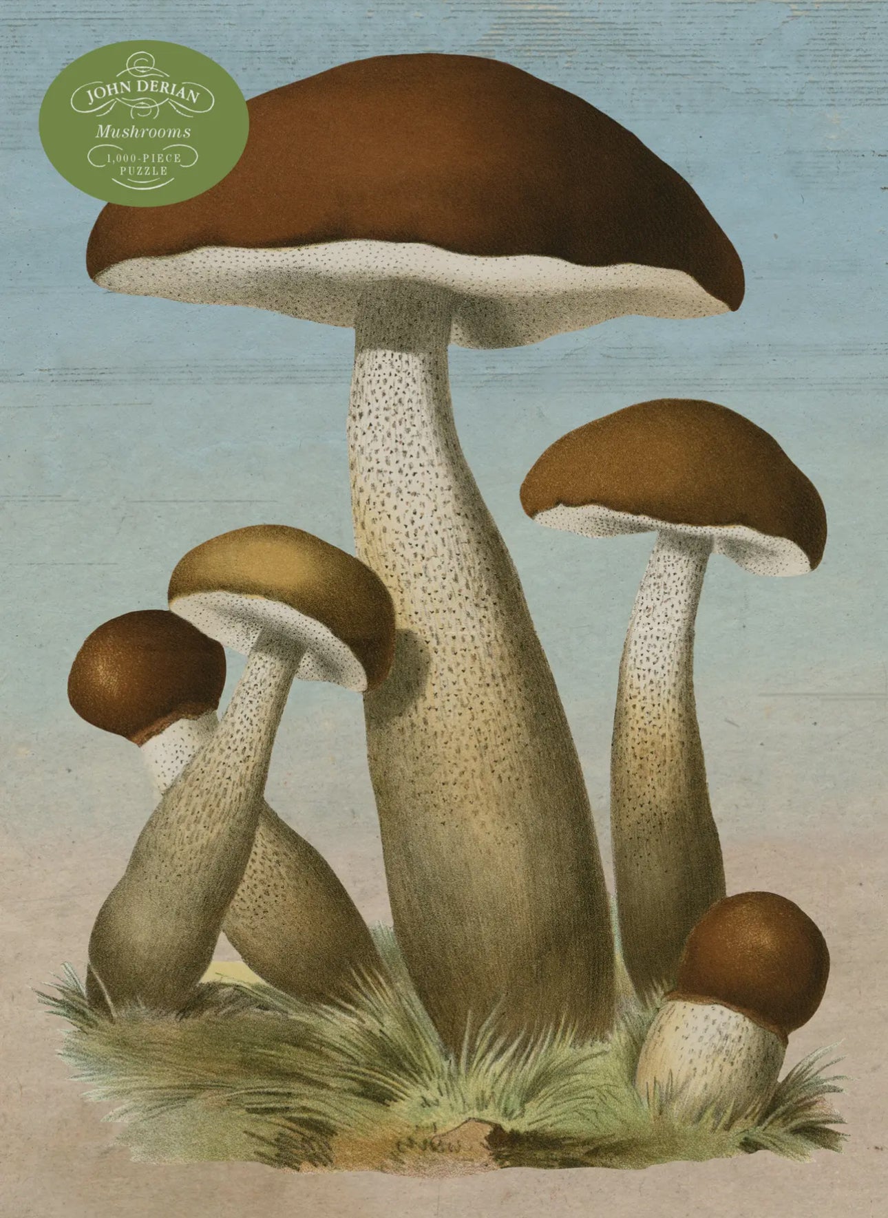Mushrooms 1,000-Piece Puzzle
