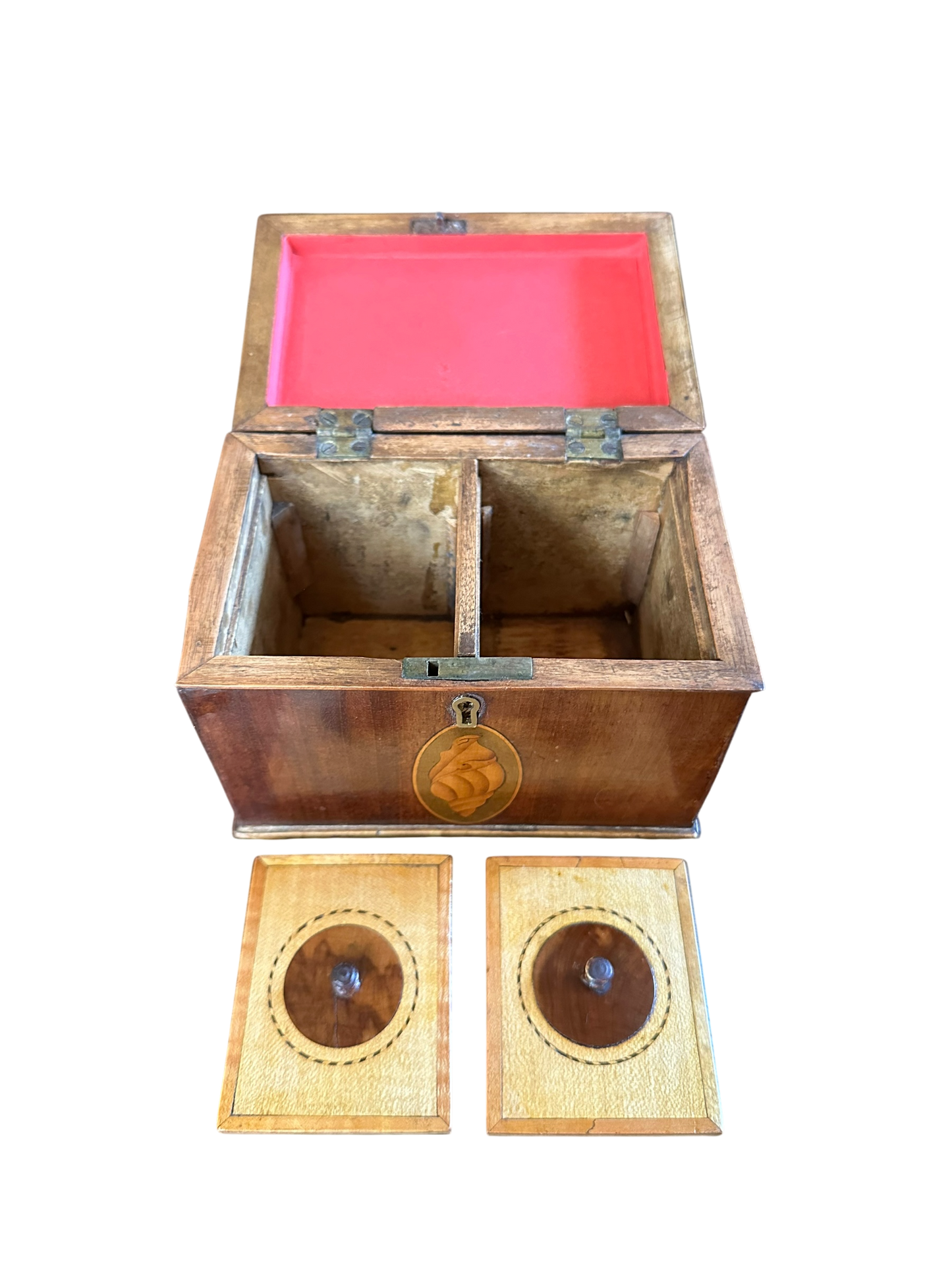 Neoclassical Tea Caddy w/ 3 Sided Conch Shell Inlay