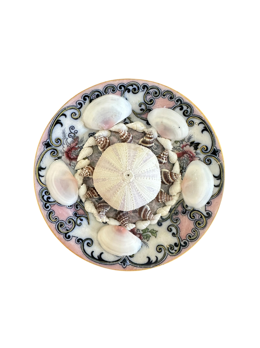 Jenn Leverett Art - Rose Shell Encrusted Plate