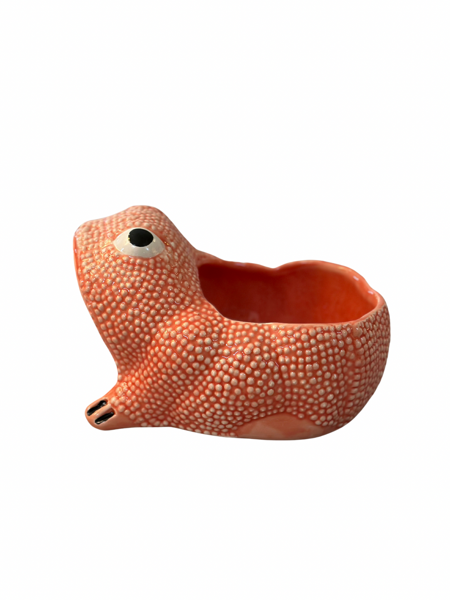 Medium Jean Roger Frog Planter