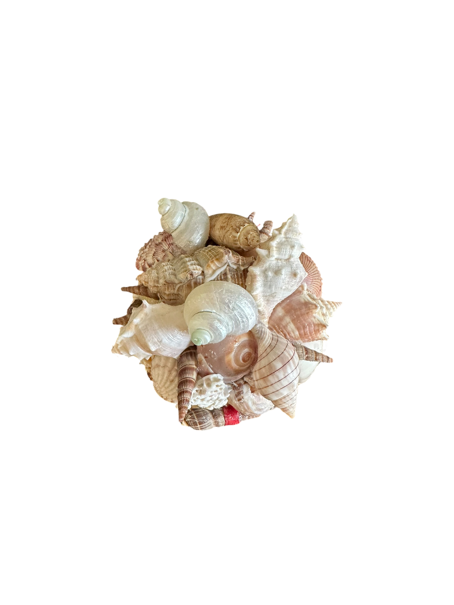 Jenn Leverett Art - Round Shell Encrusted Box II