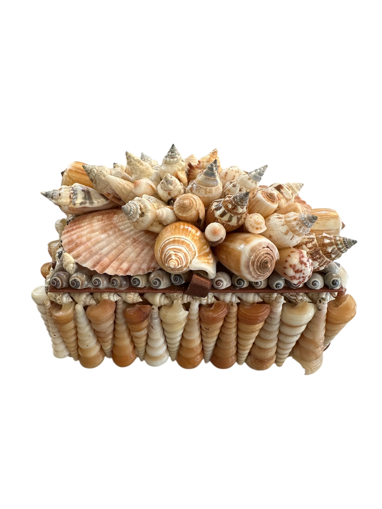 Jenn Leverett Art - Shell Encrusted Box V