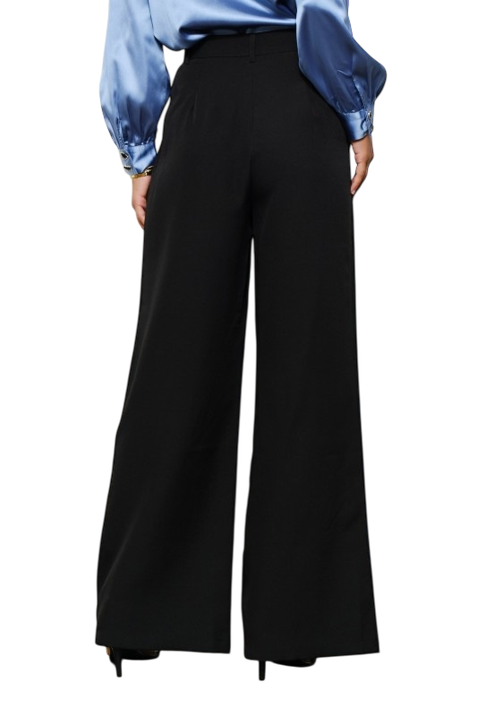 High Waist Pleated Wide Leg Pants - Black