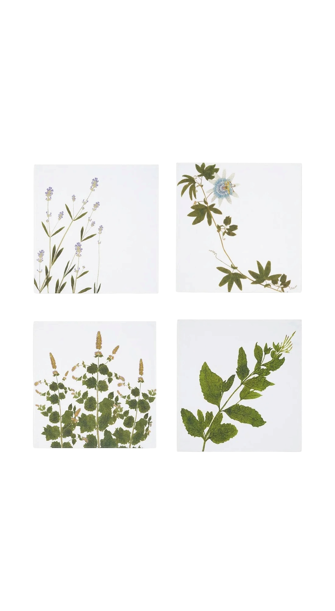 Set of Four Tisane Herb Napkins 20”x 20”