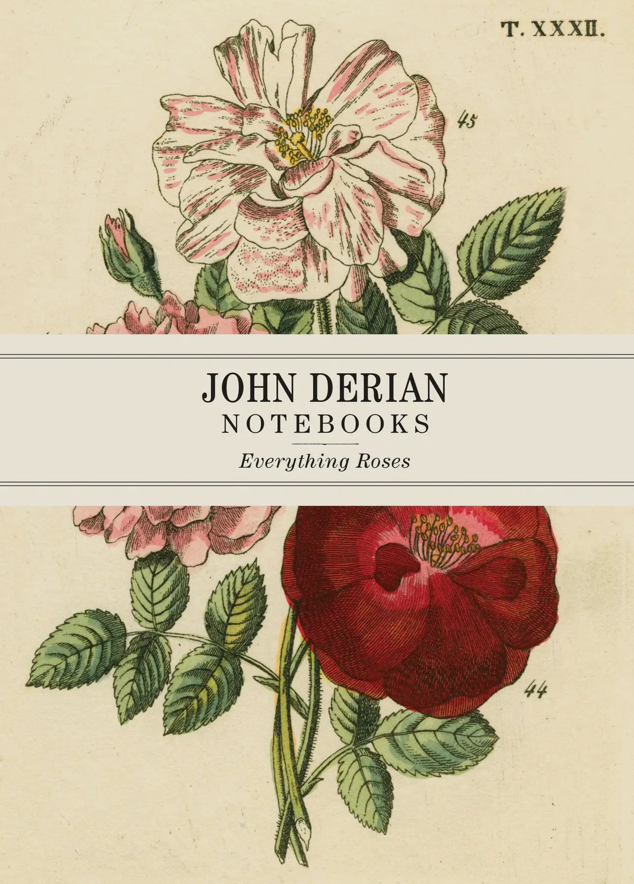 John Derian: Everything Roses Notebooks
