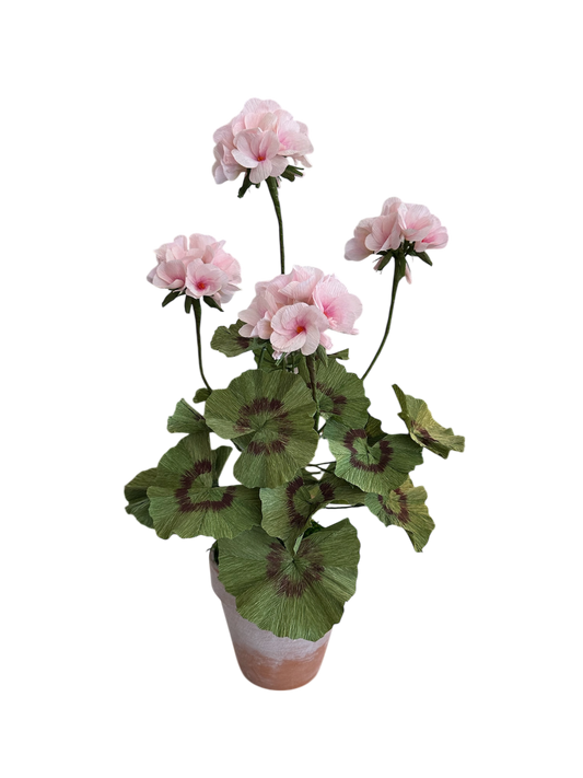 Paper Potted Geranium - Pink