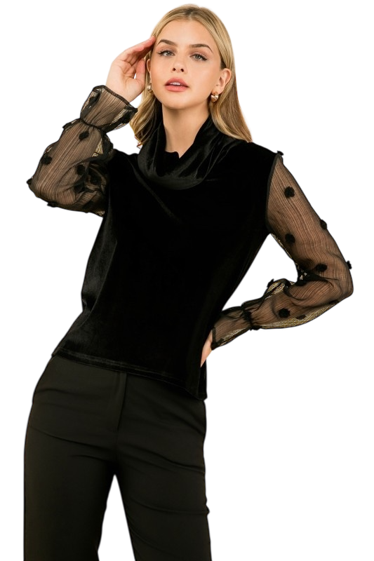 Velvet Turtleneck Mesh Sleeve Top