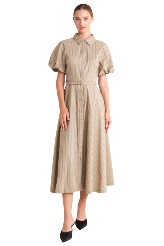 Belted Pinstripe Shirt Dress
