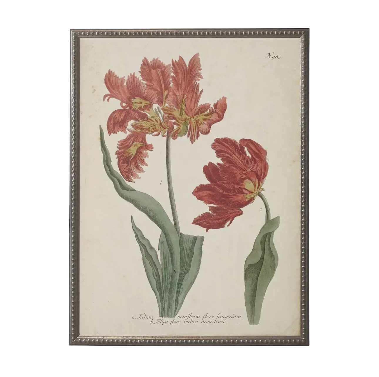 18” x 24” Vintage Flower Bookplate Print