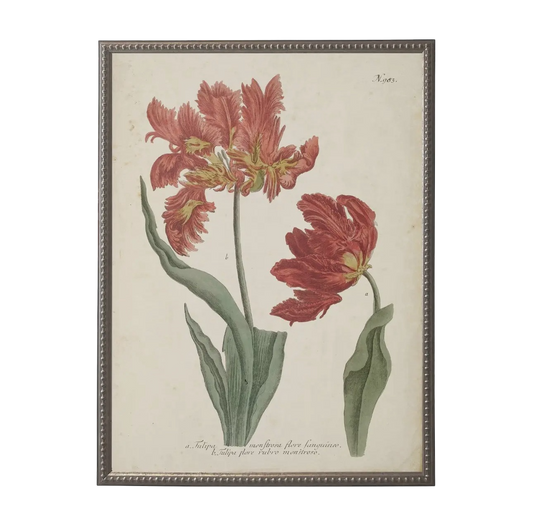 18” x 24” Vintage Flower Bookplate Print