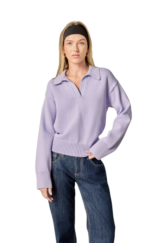 Lilac V-Neck Collar Sweater