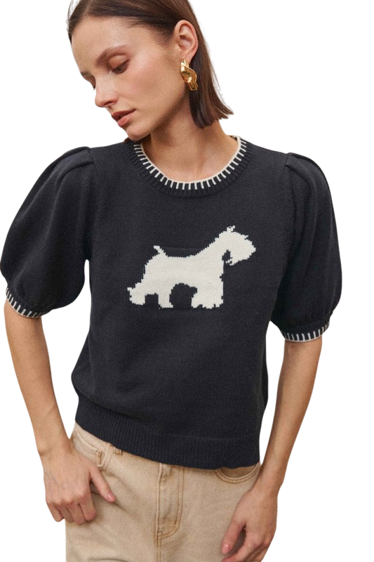Navy Dog Sweater
