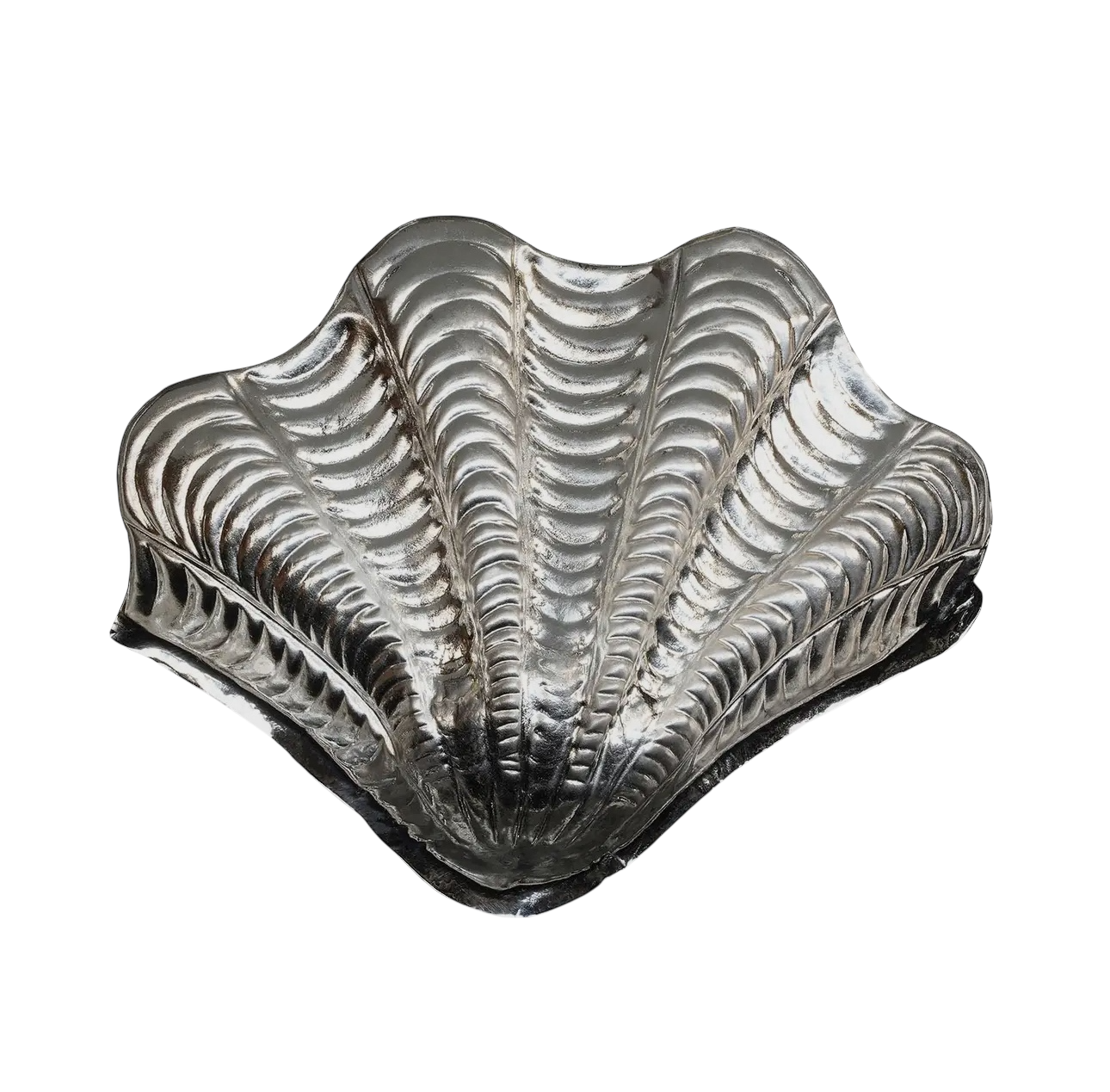 Shell Coin Dish